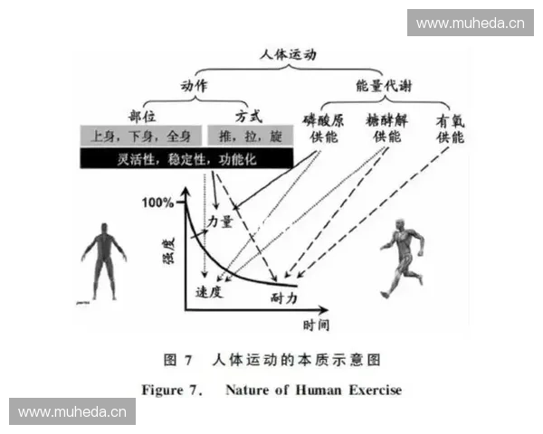 《全面分析运动训练效果与进展的科学记录方法及技巧》 《全面分析运动训练效果与进展的科学记录方法及技巧》