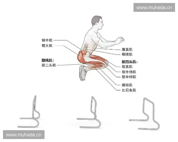 全面提升力量与灵活性的训练阻力圈使用技巧与方法解析
